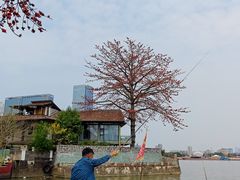 -喜洲吧·江畔老船厂·庭院餐厅(喜临院店)