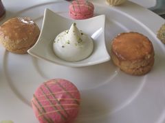 -蝶舍·MAISON PAPILLON