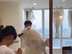 -共舞时光猫咖·狗咖(新街口店)