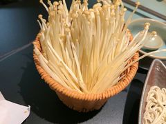 -季季山·云南野生菌火锅(上海首店)