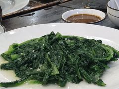 -鸽鸟轩(石岐店)