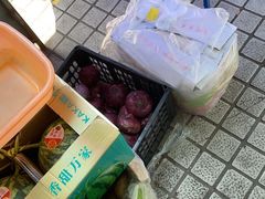 -赭山公园