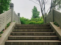 -日出青木·杭帮菜名店