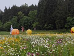 -武陵山森林公园