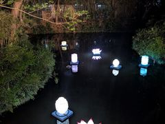-中国湿地博物馆