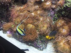 -新加坡海洋生态馆
