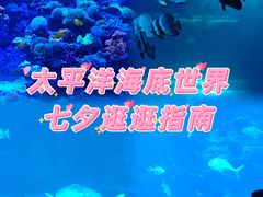 -太平洋海底世界