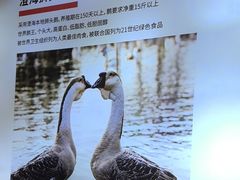 -陆记鹅庄·潮汕菜·狮头鹅(大仟里店)