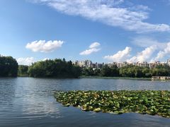 -新江湾城公园