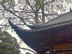 -紫云谷景区