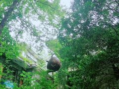 -天河潭旅游度假区
