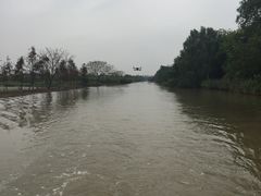 -大湾区中央湿地公园