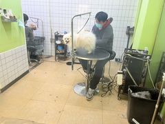 -沐沐家宠物(成寿寺店)