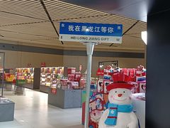 -哈尔滨太平国际机场-T2航站楼