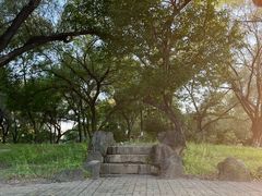 -北陵公园