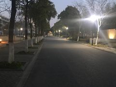 -海事大学图书馆(临港校区)