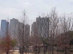 -汉水公园