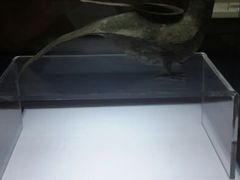 android_upload_pic-广西壮族自治区博物馆