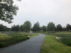 -两河城市森林公园