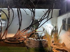 -蔡田福佛跳墙(官驿街店)