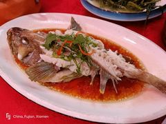 清蒸东星斑-202特色排档(五缘湾店)