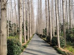 -上海怡沁园度假酒店