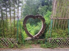 -桤木河湿地公园