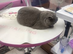 -FAELING PETS美天灵宠物(富力广场店)