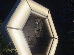 -新加坡丽思卡尔顿美年酒店