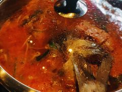 -阿婉贵州苗家酸汤鱼(梅林店)
