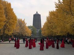 -玲珑塔公园