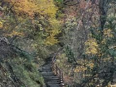 -叠溪松坪沟景区