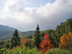 -塔川景区