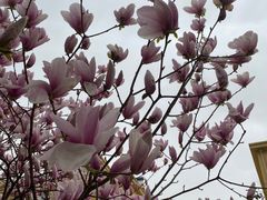 -刁四藤椒麻辣烫(武夷山路店)