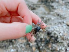 -白城沙滩
