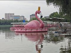 -莲花池公园