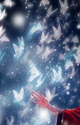-凡碧诗毛孔收细