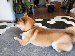 -About Bistro關於·泰式家庭料理