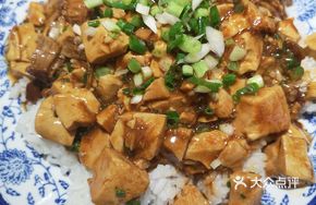 Sauce Meat Tofu Rice