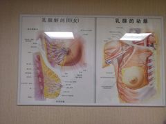 -广州仁爱天河医院体检中心
