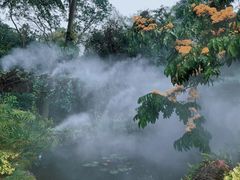 -中国科学院西双版纳热带植物园