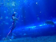 -华夏文旅海洋公园