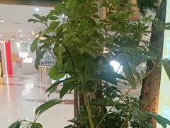-桂满陇·蟹黄小笼汤包(中山公园店)