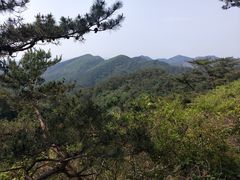 -金龙寺国家森林公园
