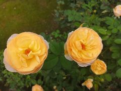 -鱼桥巷·美学川菜