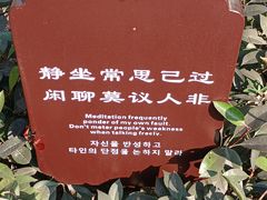 -南海禅寺