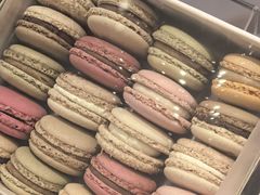 -Pierre Marcolini(德基广场店)