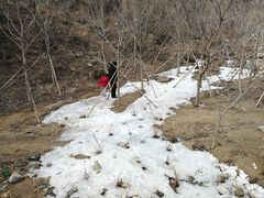 -白水寺森林公园