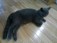-壹人壹像工作室(购物公园店)