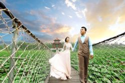 点击看大图 花海-戛纳印象摄影(潮拍定制馆)